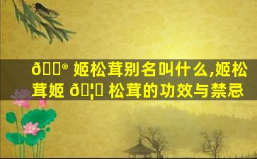 💮 姬松茸别名叫什么,姬松茸姬 🦉 松茸的功效与禁忌